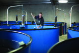 Rheem Thermal Heat Pumps for the Aquaculture Industry